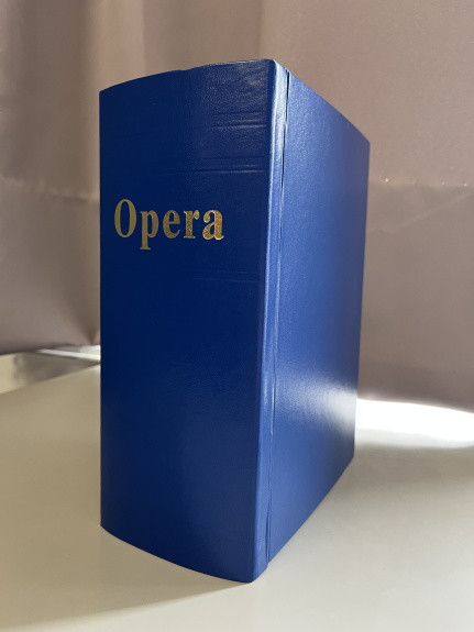 Yearly Binder - Blue